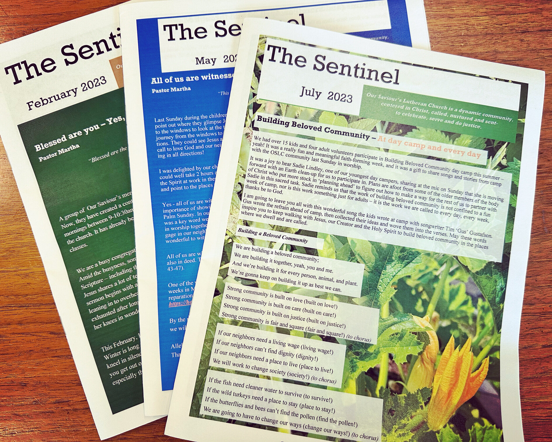 The Sentinel Newsletter - Our Saviour's Lutheran Church